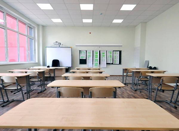 Брянским школьникам на каникулах проведут онлайн-консультации