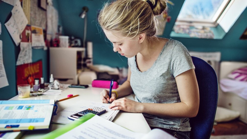 Для брянских учеников открыт образовательный ресурс «Российская электронная школа»