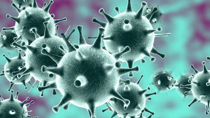 В Брянской инфекционной больнице выявлен третий случай заражения коронавирусом