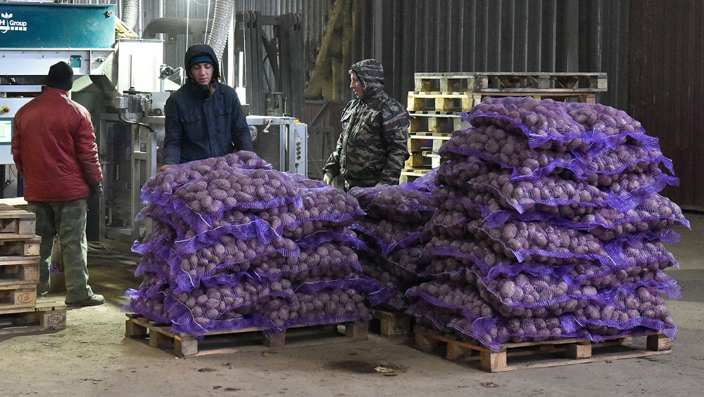 Поставки брянских продуктов за рубеж выросли на 27%