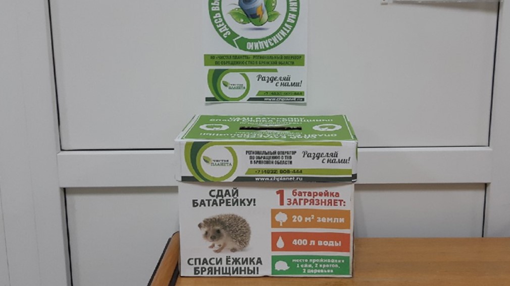 В Брянске пройдет экологическая акция «Сдай батарейку — спаси ежика Брянщины»