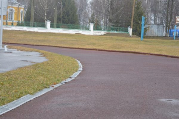 В Новозыбкове  Брянской области  отремонтируют стадион