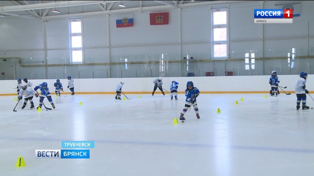 В Бежицком районе Брянска продолжается реконструкция ледовой арены «Пересвет»