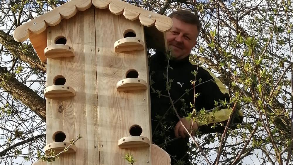 Житель Брянска смастерил многоквартирный скворечник