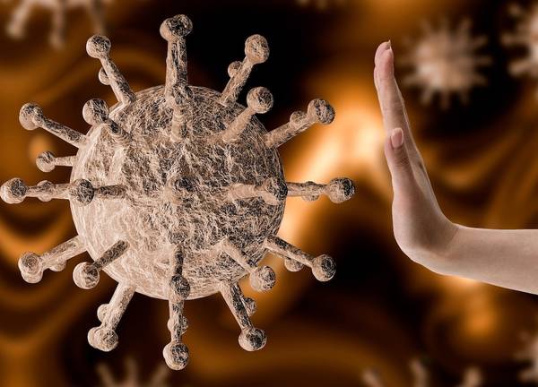 Пробы на коронавирус взяли у 5051 брянца