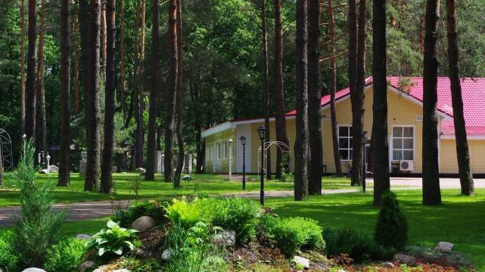 По распоряжению Богомаза дом отдыха «Сосновый Бор» передадут брянским врачам