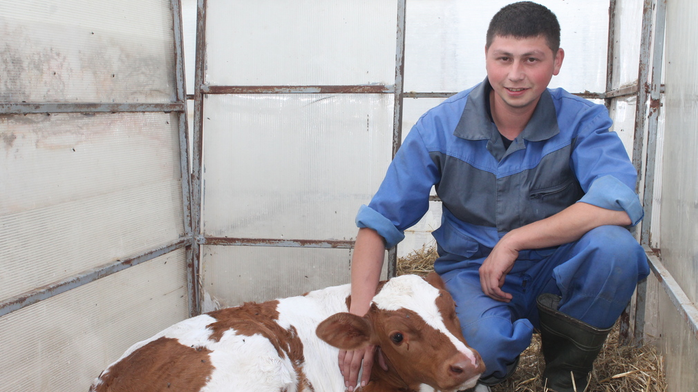 В 115 стародубских фермах содержится 21 тысяча крупного рогатого скота