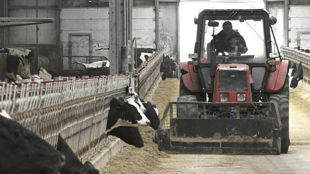 На Брянщине паники по поводу дефицита питания быть не может