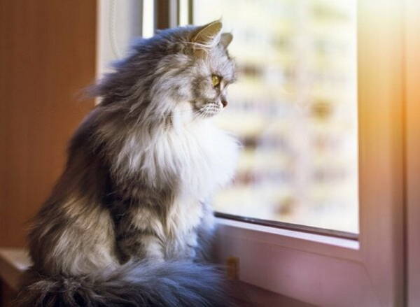 На Брянщине 13 апреля потеплеет до +19 С°