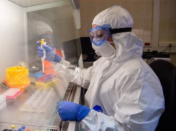 В жертвах коронавирусной инфекции в  Брянской области  числятся четыре  человека