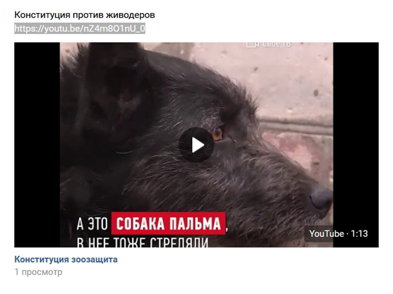 Конституция против живодеров