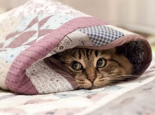 На Брянщине в воскресенье температура воздуха опустится до -5 С°