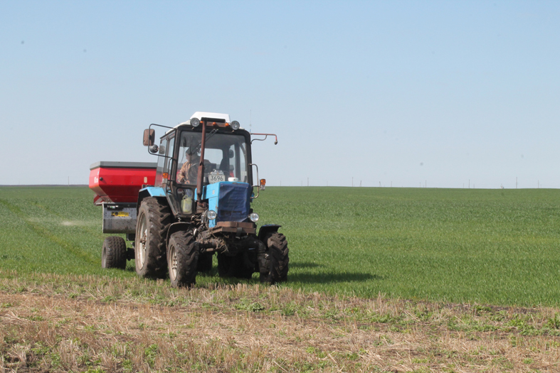 Фермерская династия в Карачеве продолжается