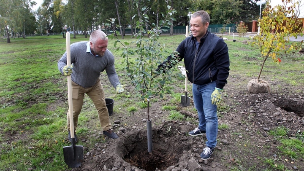 Брянцы могут стать участниками акции «Сад памяти дома», находясь в самоизоляции