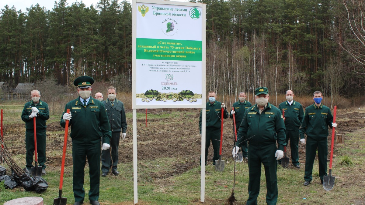 В Жуковском лесничестве прошла акция «Сады памяти»