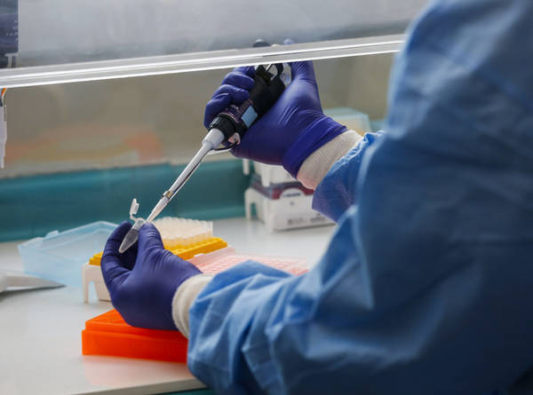 Более 10 000 исследований на коронавирус провели в Брянской области