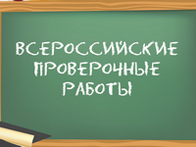 Срок написания всероссийских проверочных работ на Брянщине перенесен