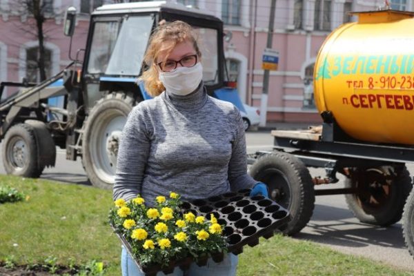 Накануне майских  праздников  множество цветов  украсят брянские  Клинцы