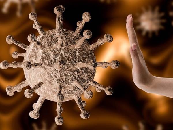 На 5 апреля в Брянской области не выявлено ни одного заболевания коронавирусом