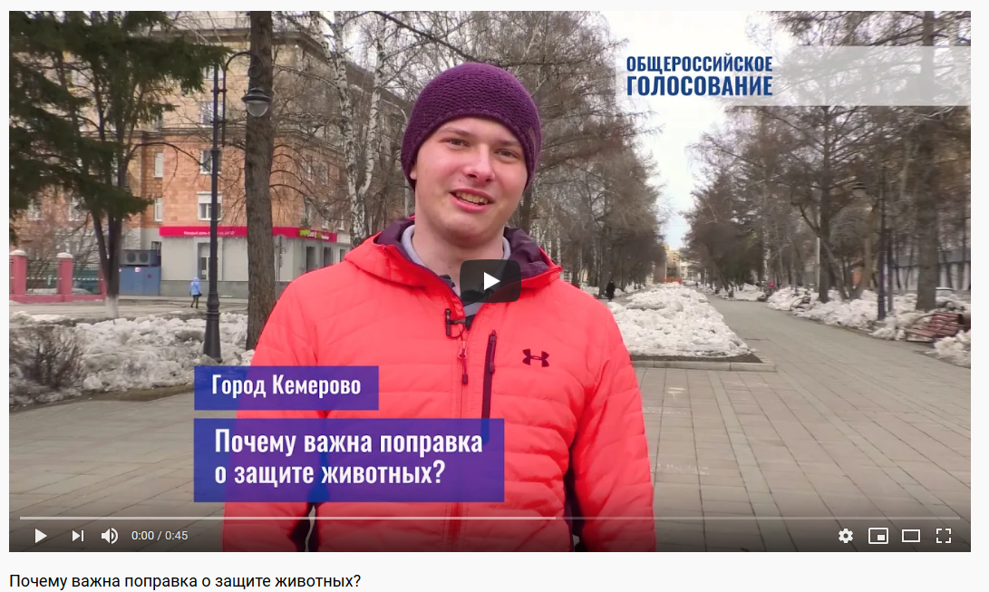 Почему важна поправка о защите животных?