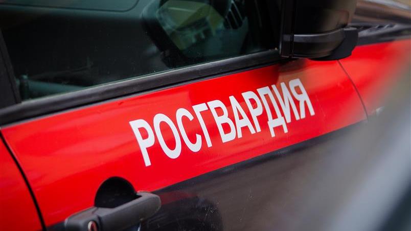 В Брянске сотрудники Росгвардии задержали ранее судимых воров