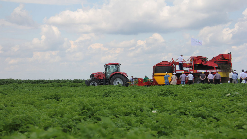 Александр Богомаз оценил состояние площадки для проведения Всероссийского дня поля