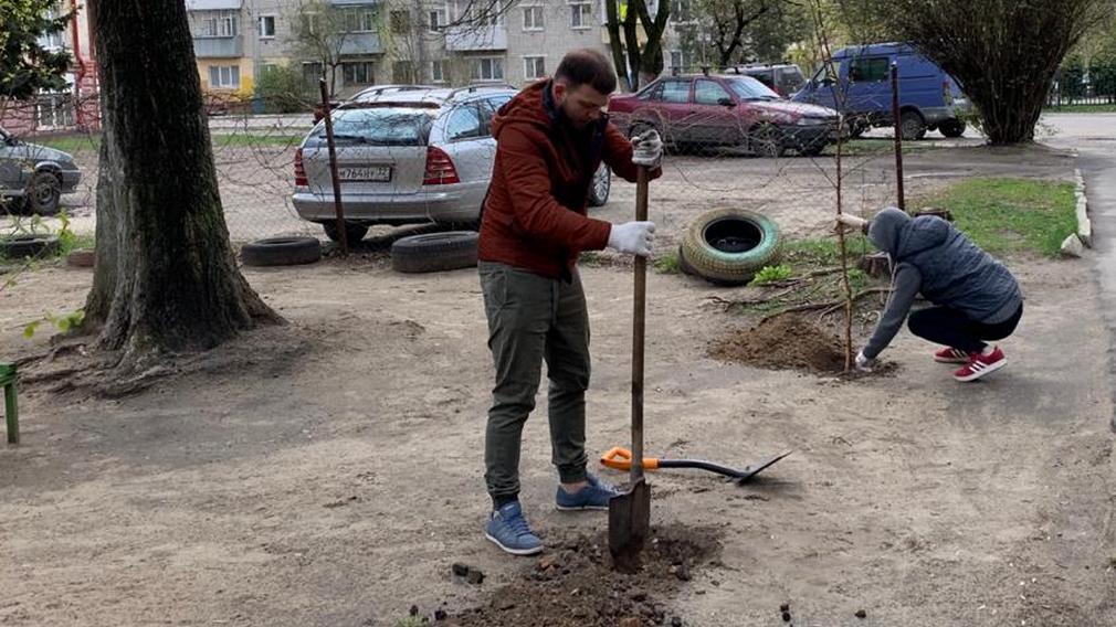 Активисты брянского ТОСа в честь ветеранов посадили аллею Славы