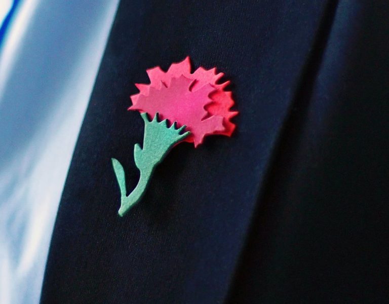 6 мая открыла новый сезон ежегодная всероссийская акция «Красная гвоздика» несмотря на режим самоизоляции