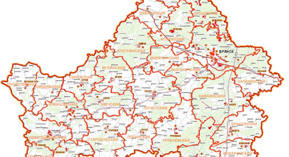 Названы чистые от коронавируса районы Брянской области