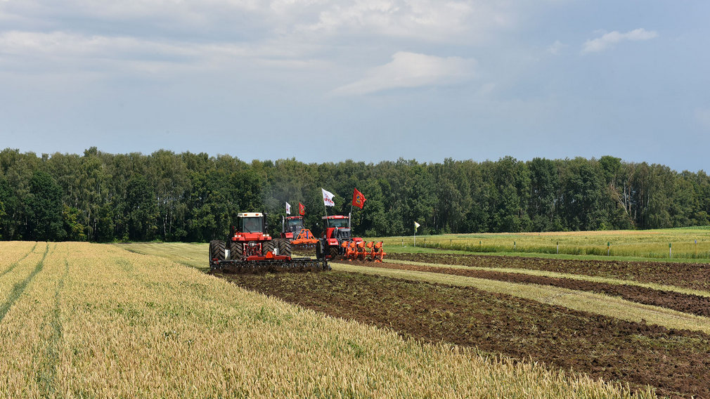 Брянский губернатор рассказал президенту РФ о развитии сельского хозяйства в регионе