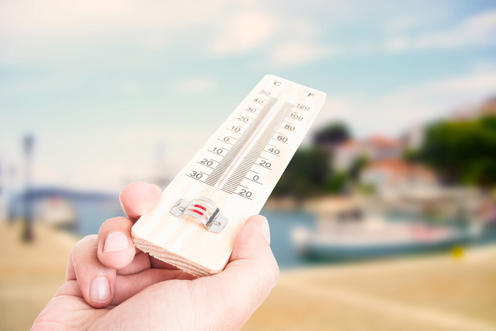 Завтра в Брянской области потеплеет до +27 Сº