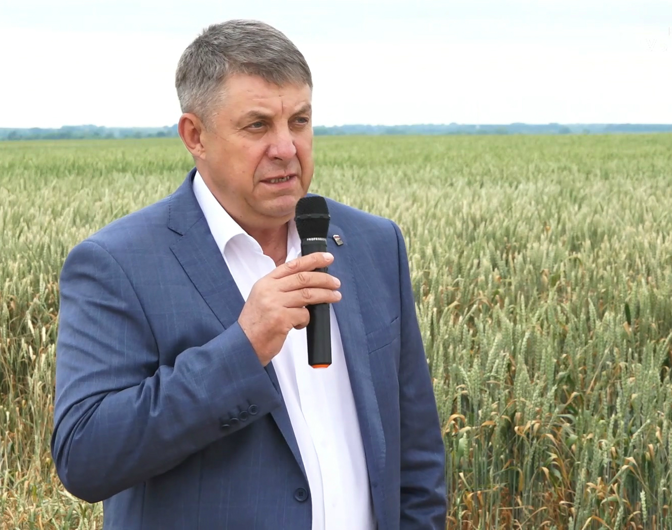 Брянщина лидирует по вводу в оборот земель сельхозназначения