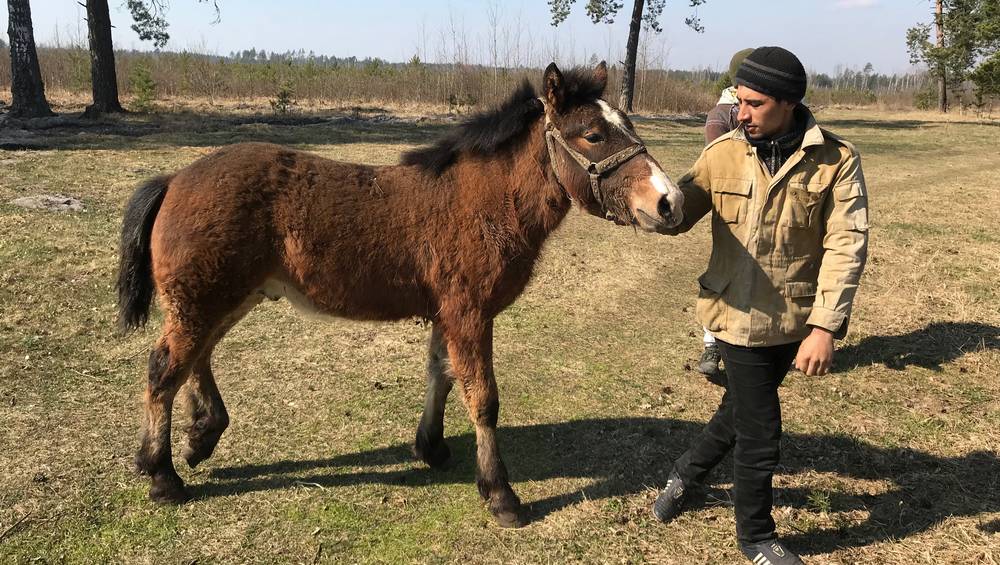 На Мылинке у брянского цыгана родился пятый ребенок