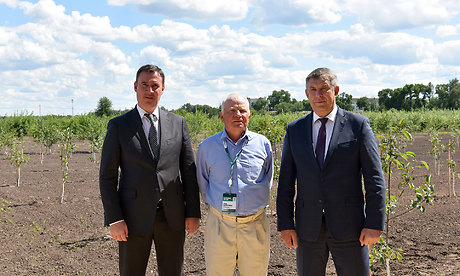 Новая традиция: яблоневый сад в память о выставке «Всероссийский день поля»