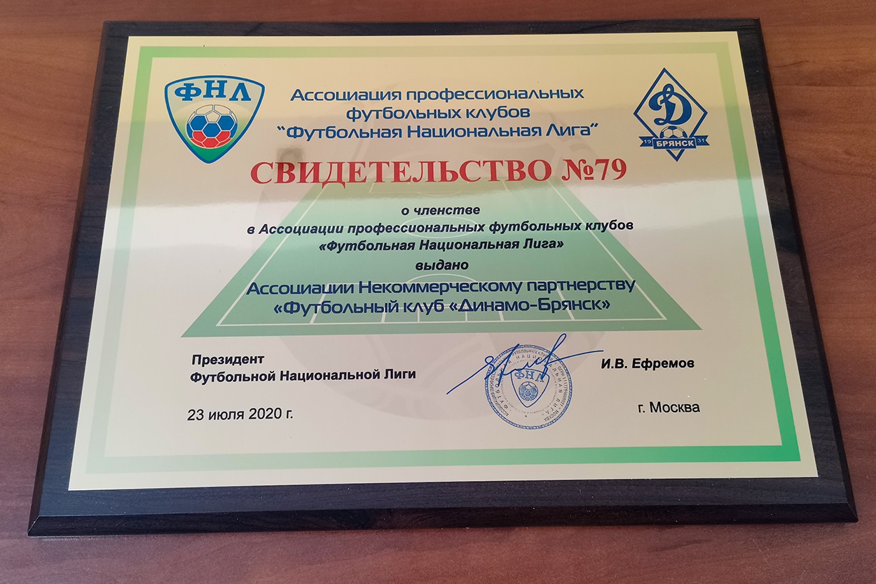 Футбольный клуб «Динамо-Брянск» — в составе ФНЛ