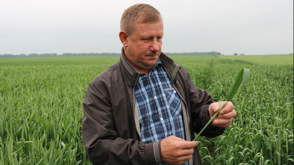 Сельхозпроизводители Брянщины  высказали свое мнение о выставке «Всероссийский  день поля»