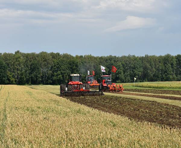 Брянская область стала флагманом сельского хозяйства