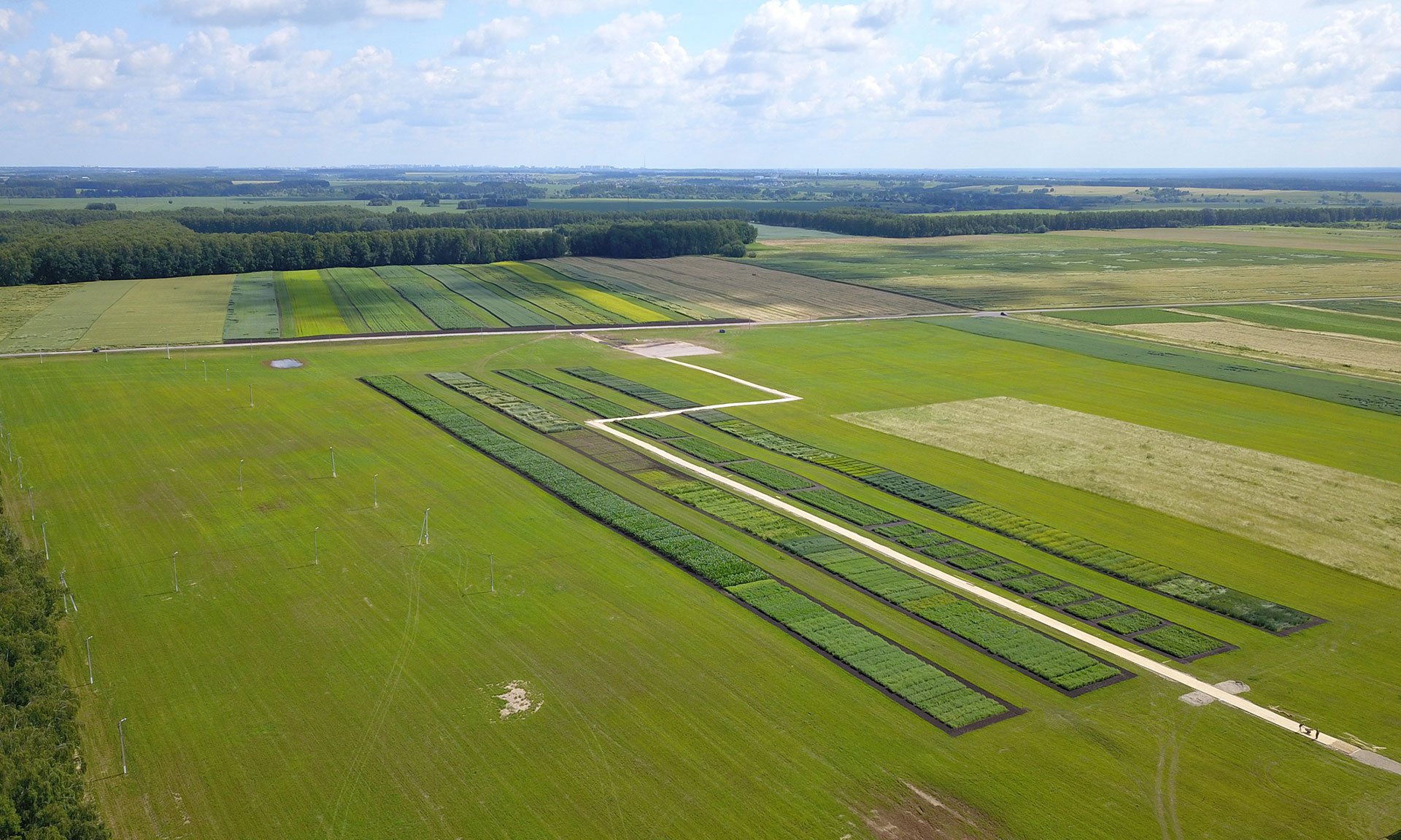 Сегодня на Брянщине заработала выставка «Всероссийский день поля»