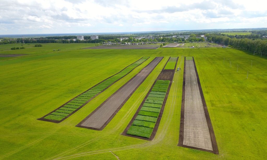 Брянщина представит на Всероссийском дне поля 450 сортов 24-х агрокультур