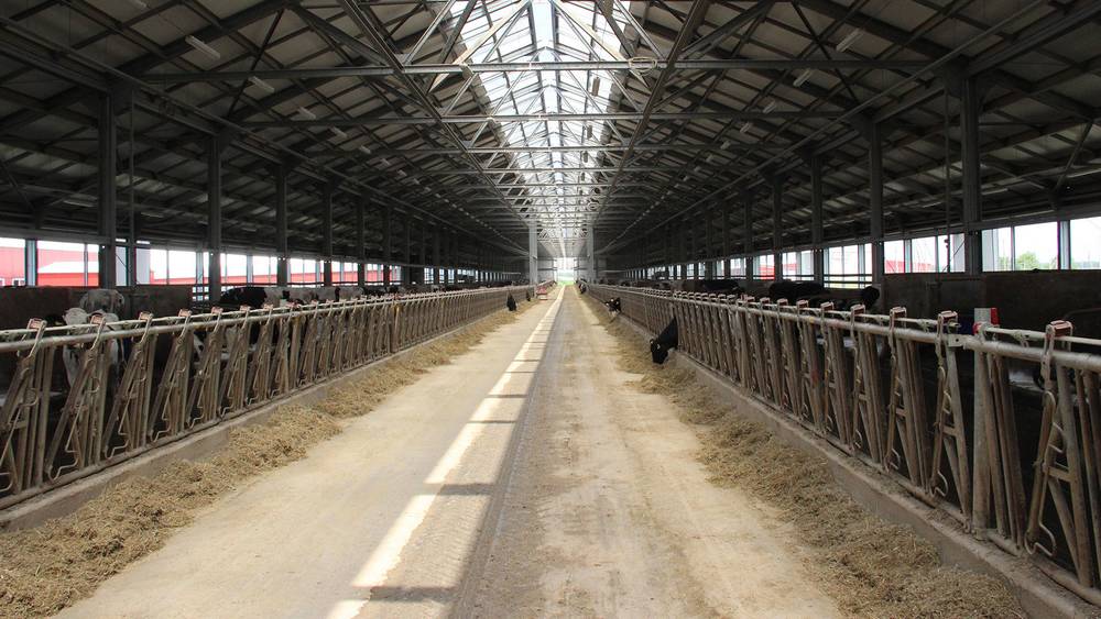 Экспорт брянского животноводства увеличился в три раза по сравнению с прошлым годом