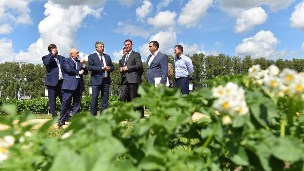 Министр сельского хозяйств РФ похвалил брянцев за урожай картошки — больше, чем в Белоруссии