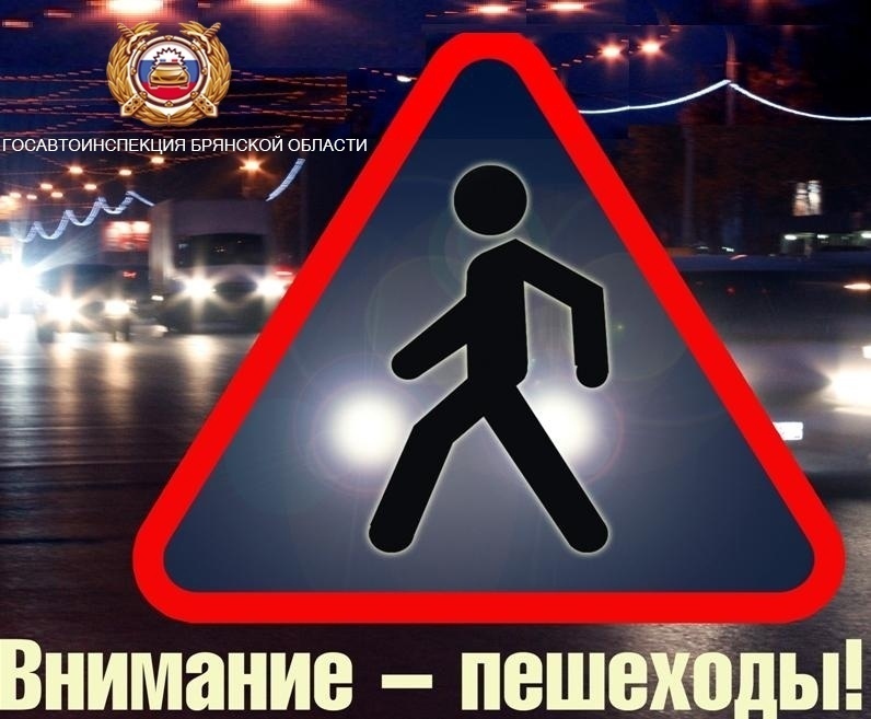 В Карачевском районе пройдет «Пешеход»