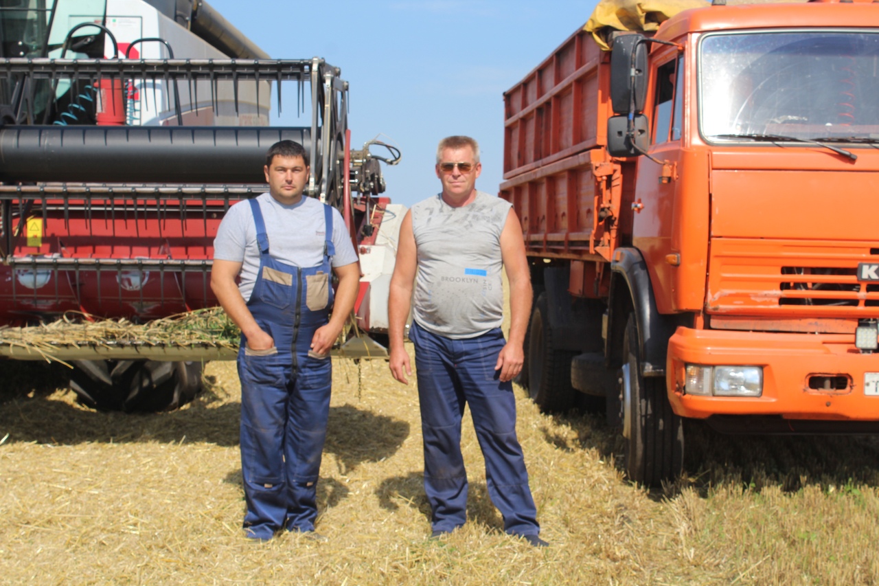 Аист на поле – хлеб в закромах