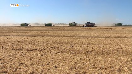 Уборка озимых на Брянщине началась