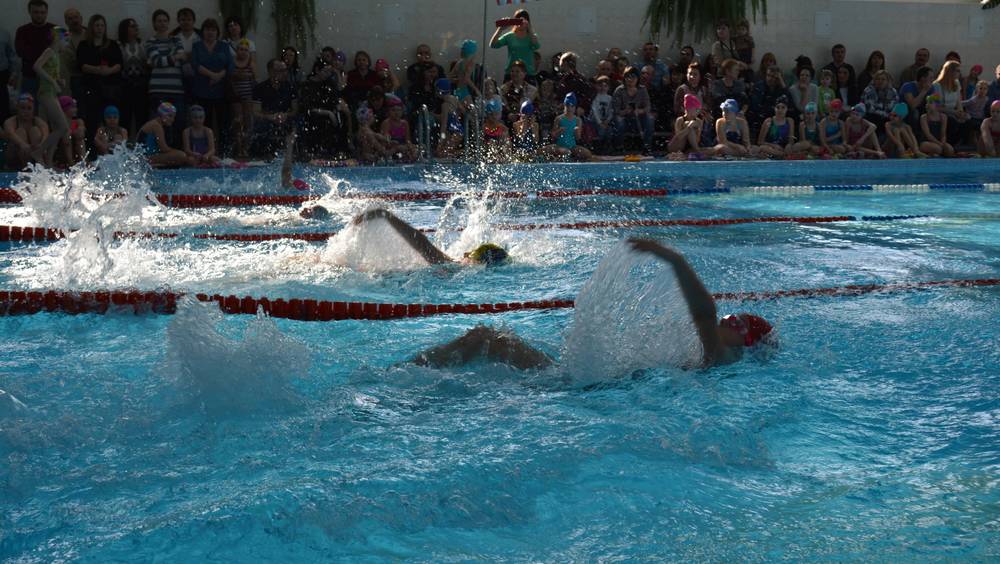 Спорткомплекс с бассейном в брянской Путевке возобновил работу