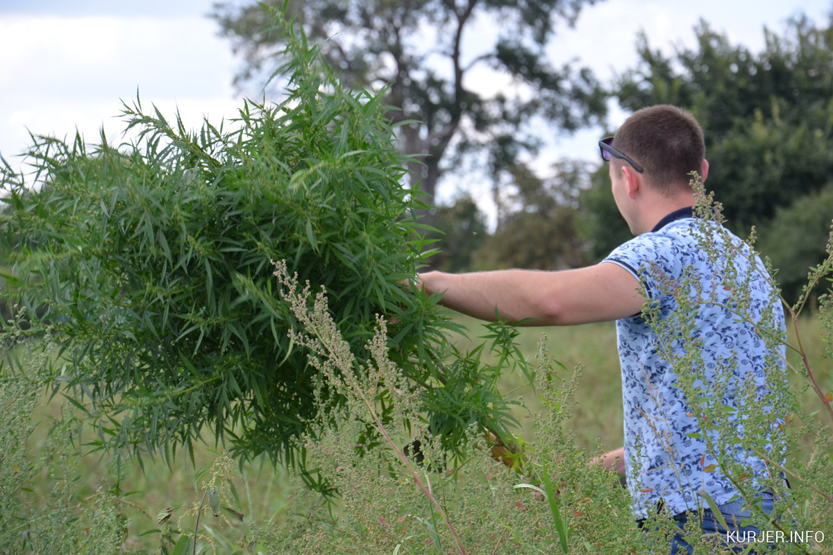 Что выросло, то выросло…