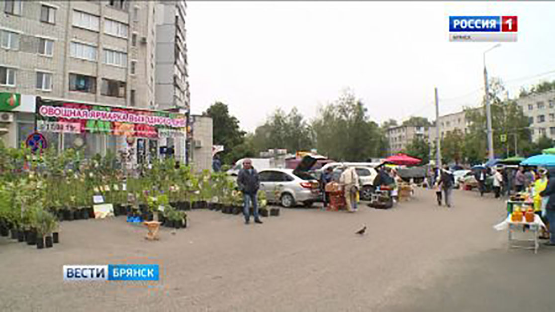 В Брянске открылись ярмарки выходного дня