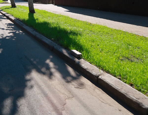 В Брянске на центральных улицах появятся новые газоны