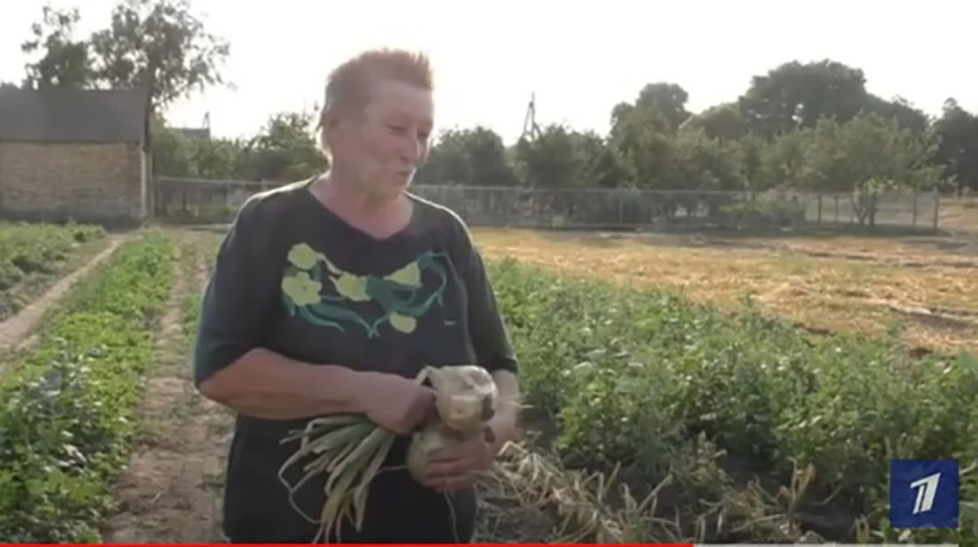 Первый канал рассказал о выращенном брянской дачницей луке-гиганте