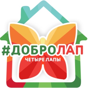 По всей России в честь Дня защиты бездомных животных пройдет благотворительная акция «Добролап»